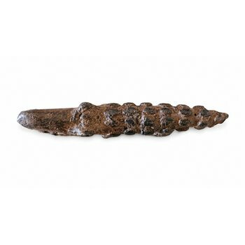 African Bronze Crocodile � Textured Dogon Figurine from Mali