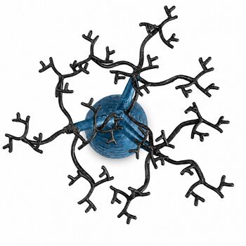 Decorative Metal Baobab Tree � Branch Detail Viewed from Above